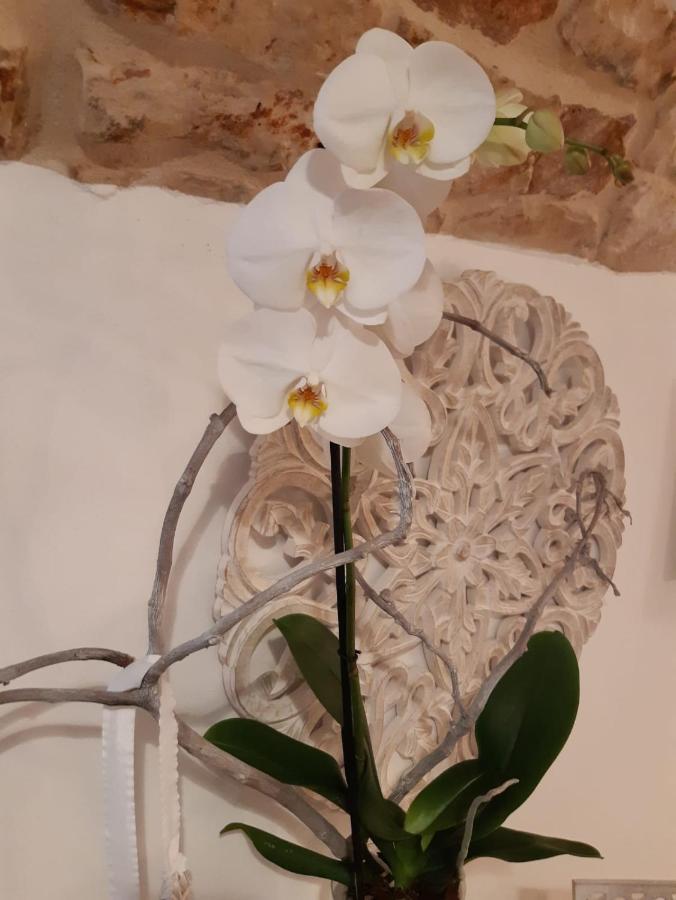 Donna Lucrezia Dimora A Corte B&B コンヴェルサーノ エクステリア 写真
